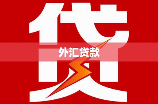 头份外汇贷款