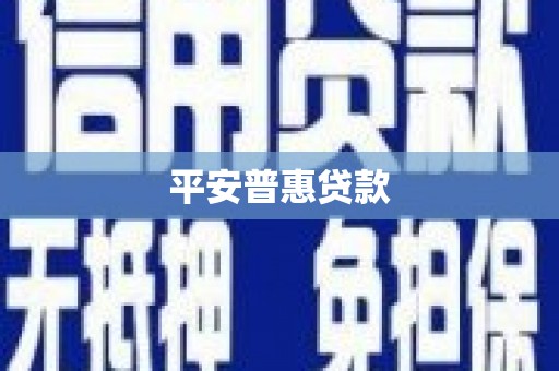 岳塘平安普惠贷款