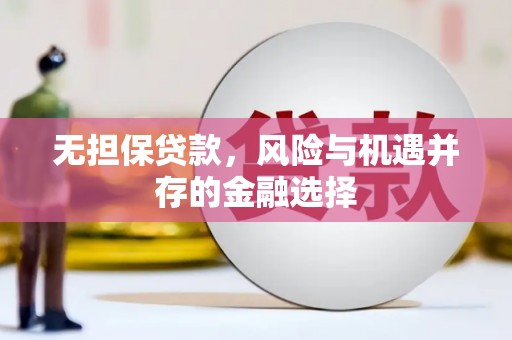 卓尼无担保贷款，风险与机遇并存的金融选择