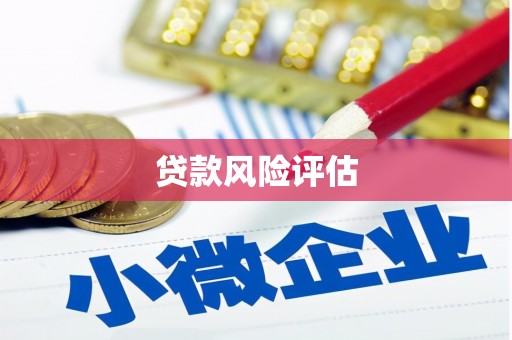 五桂山贷款风险评估