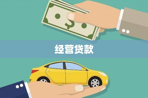 阜沙经营贷款