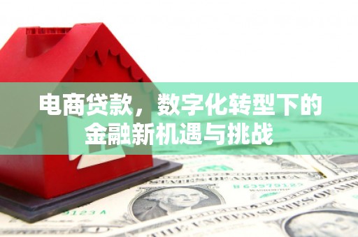 鹤庆电商贷款，数字化转型下的金融新机遇与挑战