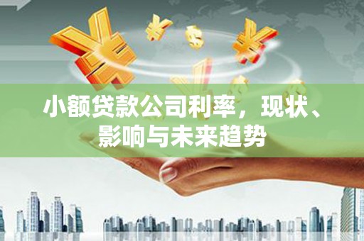 梅州小额贷款公司利率，现状、影响与未来趋势