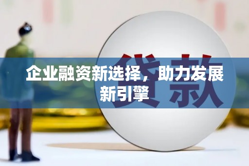 圣方济各堂区企业融资新选择，助力发展新引擎
