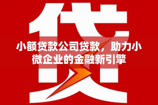 宽甸小额贷款公司贷款，助力小微企业的金融新引擎