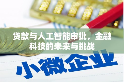 沁源贷款与人工智能审批，金融科技的未来与挑战