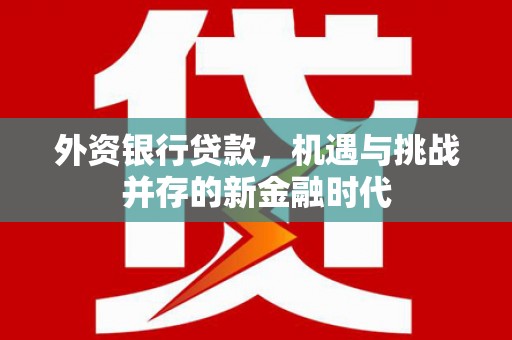 奎文外资银行贷款，机遇与挑战并存的新金融时代