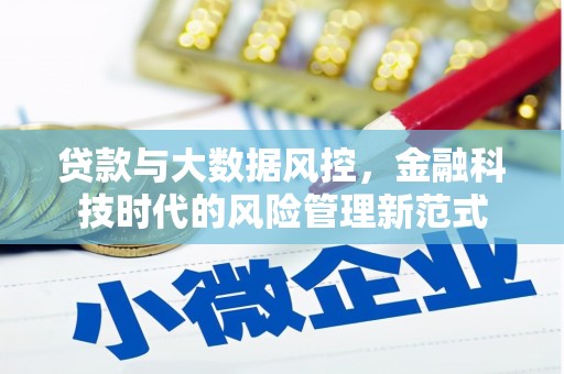 越西贷款与大数据风控，金融科技时代的风险管理新范式