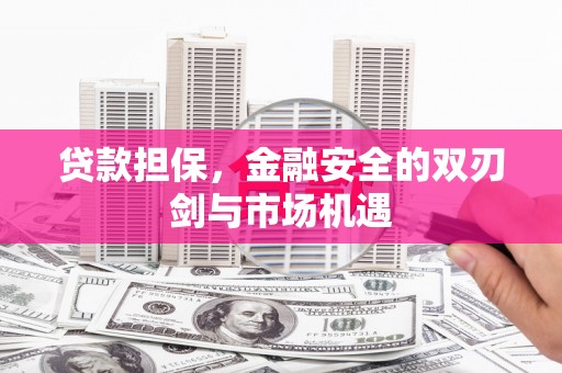 颍上贷款担保，金融安全的双刃剑与市场机遇