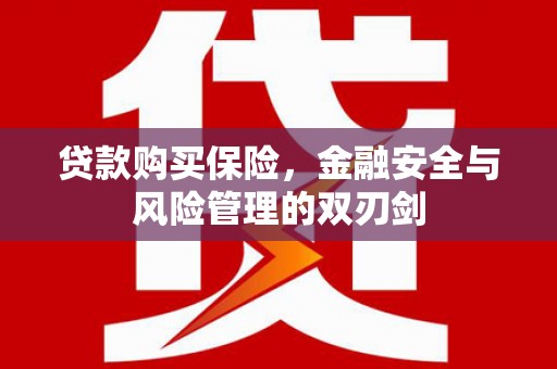 滦南贷款购买保险，金融安全与风险管理的双刃剑