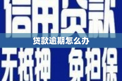 山阳贷款逾期怎么办