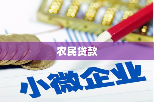 临邑农民贷款