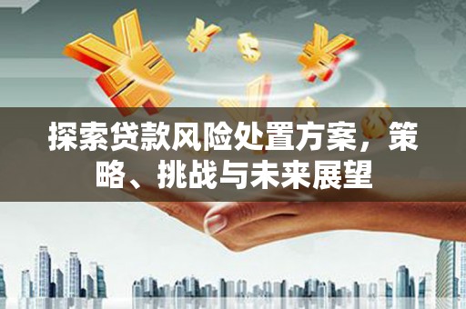 狮子山探索贷款风险处置方案，策略、挑战与未来展望
