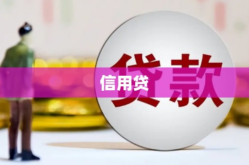 桐乡信用贷