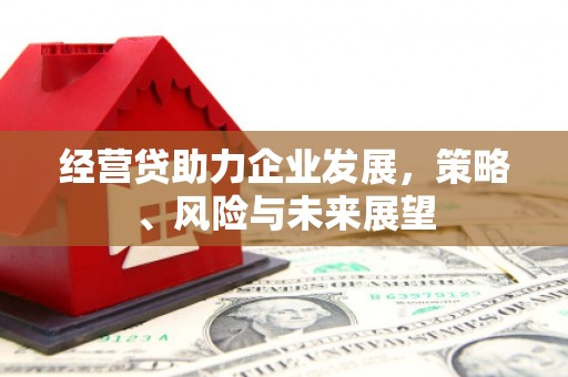 马尔康经营贷助力企业发展，策略、风险与未来展望