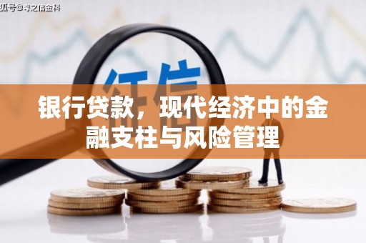 绥滨银行贷款，现代经济中的金融支柱与风险管理