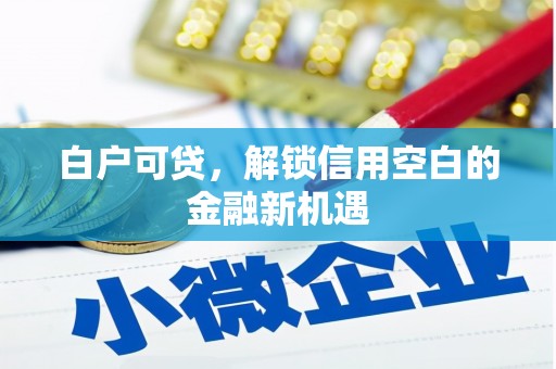 清流白户可贷，解锁信用空白的金融新机遇