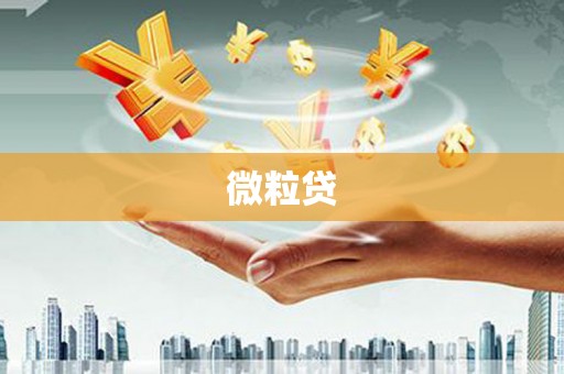 海宁微粒贷