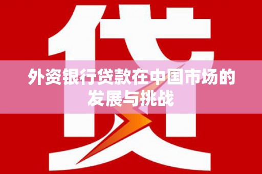 勉县外资银行贷款在中国市场的发展与挑战