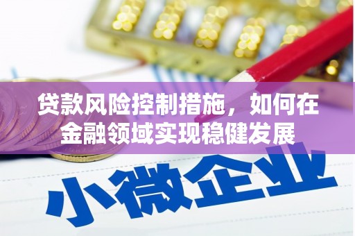泸溪贷款风险控制措施，如何在金融领域实现稳健发展