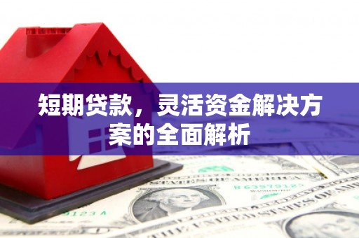 中区短期贷款，灵活资金解决方案的全面解析
