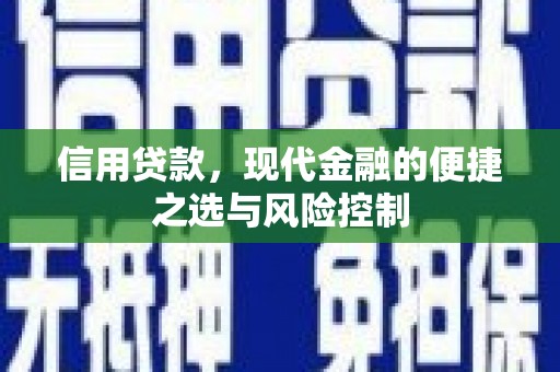 邵东信用贷款，现代金融的便捷之选与风险控制