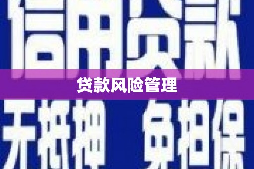 丰原贷款风险管理