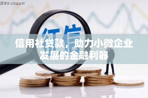 凤城信用社贷款，助力小微企业发展的金融利器