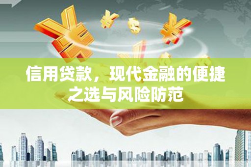 泽普信用贷款，现代金融的便捷之选与风险防范