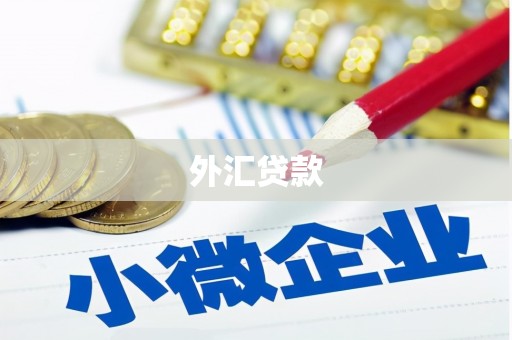 鸟松外汇贷款