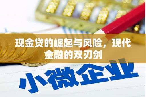 卢龙现金贷的崛起与风险，现代金融的双刃剑