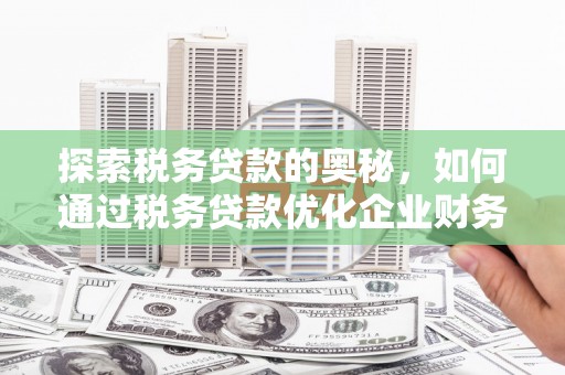 温宿探索税务贷款的奥秘，如何通过税务贷款优化企业财务