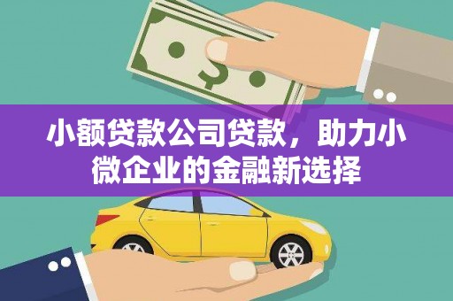 东方小额贷款公司贷款，助力小微企业的金融新选择