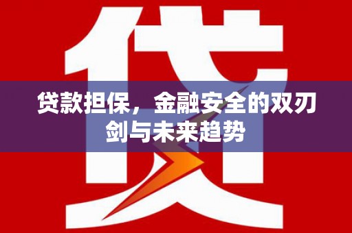 岳塘贷款担保，金融安全的双刃剑与未来趋势
