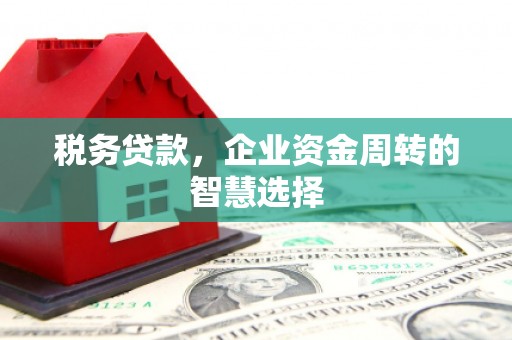 通霄税务贷款，企业资金周转的智慧选择