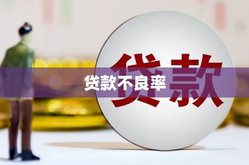 文县贷款不良率