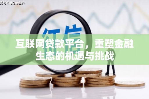 九龙互联网贷款平台，重塑金融生态的机遇与挑战