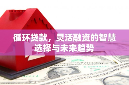 桐庐循环贷款，灵活融资的智慧选择与未来趋势