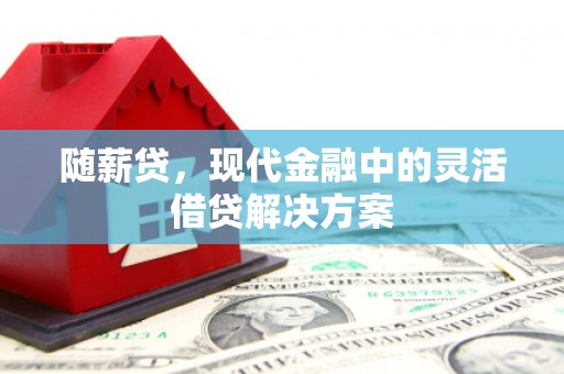 普湾新区随薪贷，现代金融中的灵活借贷解决方案
