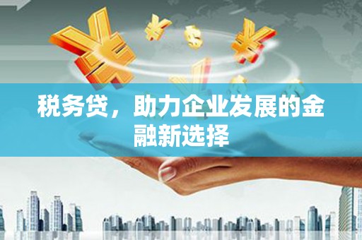 于田税务贷，助力企业发展的金融新选择