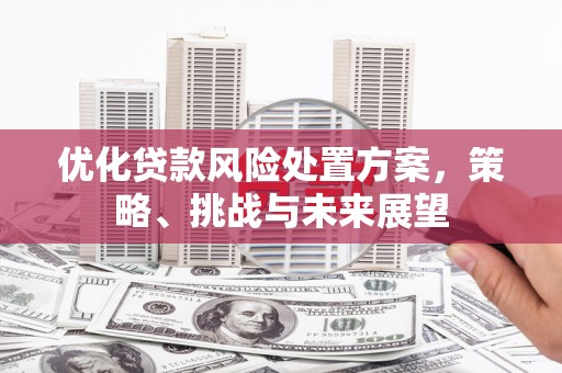 六甲优化贷款风险处置方案，策略、挑战与未来展望