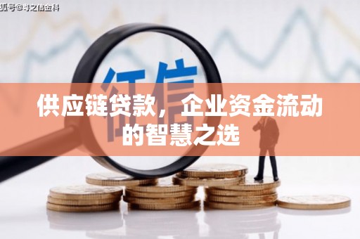 铁力供应链贷款，企业资金流动的智慧之选