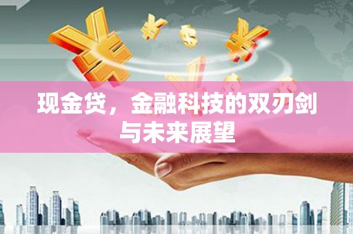 南山现金贷，金融科技的双刃剑与未来展望