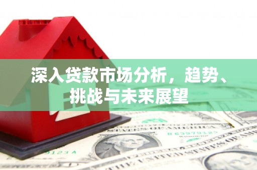 新县深入贷款市场分析，趋势、挑战与未来展望