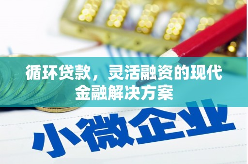 海东循环贷款，灵活融资的现代金融解决方案