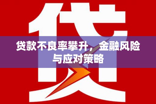 阿图什贷款不良率攀升，金融风险与应对策略