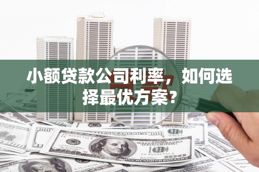 久治小额贷款公司利率，如何选择最优方案？