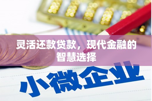 西华灵活还款贷款，现代金融的智慧选择