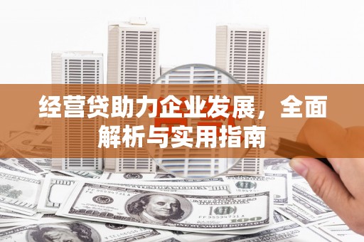 泰山经营贷助力企业发展，全面解析与实用指南
