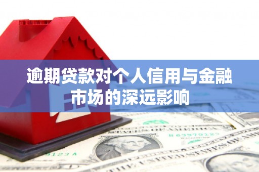 土库逾期贷款对个人信用与金融市场的深远影响
